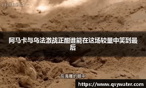zoty中欧