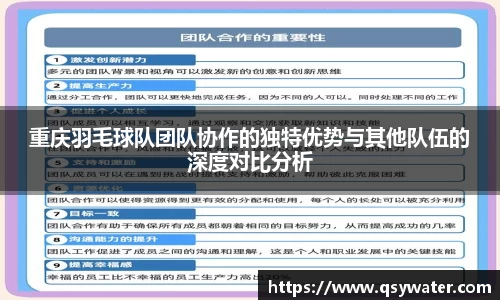 重庆羽毛球队团队协作的独特优势与其他队伍的深度对比分析